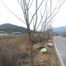 동산1길 이미지