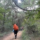 이마트24 무의중심점 | 무의도 무랭게티 가는법 / 백패킹 첫도전!🏕️🎒 / 무의도 9월 날씨 / 백패킹 후기&amp;준비물🌅