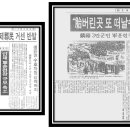 (주)인제명품오미자 네이버블로그