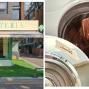 쫀득한 식감의 '젤라또' <b>맛집</b> 추천 3