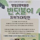 영암군 달빛축제 | 2025 영암 늦반딧불이 달빛 축제 가을 저녁 반딧불 축제 아이 후기 왕인박사유적지 주차 정보