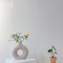 오미룸 이미지