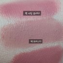 모데스티
