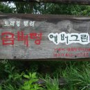 곰배령에버그린
