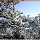 희망의메세지 이미지