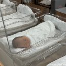 조은프라자2 개방화장실 | ⋆⁺₊ 출산후기 / 남양주 평내 조은산후조리원 2주 솔직 후기, 내돈내산⋆⁺₊