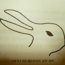 오리와토끼