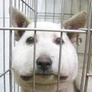 하고서도 Daum카페