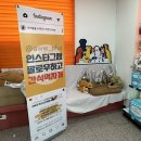 아우우(Aww) 이미지
