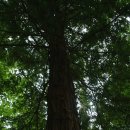 늘푸른공간 이미지