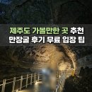 (주)제주연합상사 | 제주도 가볼 만한 곳 만장굴 나우다 무료입장 후기
