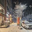 교동짬뽕세마점 이미지