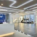 송강 홍복싱 이미지