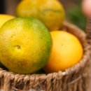 자연 제1농장 이미지