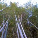 고례마을 이미지