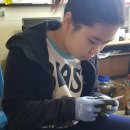 홍양농장 이미지