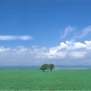 애모 - 여수시 봉산남1길 26 | 애모