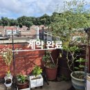 중앙동231 이미지