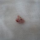 현대통통의원 이미지