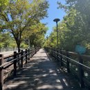 필승로(4) 이미지