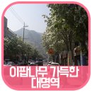 앞산 맛둘레길 경관 이미지