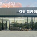 럭키꽃식물원