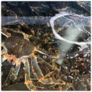 선장의 식탁 이미지