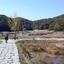 자연마당 이미지