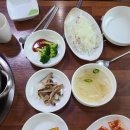 고파도박속낙지 이미지