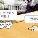 태준몰 이미지