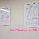 (주)아이디얼웰니스 | 한남동 척추교정 아이디얼웰니스에서 빠르고 전문적인 진단 받아본 솔직후기