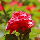 길머리 공원 이미지