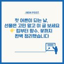 2025 성년의 날 선물 완벽 정리 – 가격별 추천부터 감동 후기까지 이 글 하나면 끝