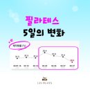 매교복싱 | 매교필라테스 다이어트 후기 ft.인바디 체지방률