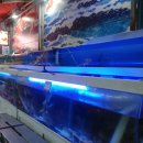 대게마루 이미지