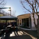 파인빌펜션 | 가평글램핑 조용하고 깨끗한 분위기 속에서 프라이빗하게 쉴수 있는 곳 파인포레스트 글램핑