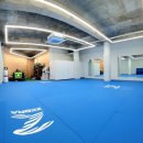 용인대 선샤인 유도 이미지