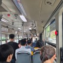 오르막 | [공지] 율리공영차고지~문수산전망대주차장 오르막 러닝 훈련 후기