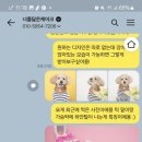 너를닮은케이크 이미지