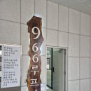 966 | 아이와 함께 연인과 함께 방문하기 좋은 루프탑 카페 대형트리가 있는 966루프탑 남양주 진접점 방문 후기