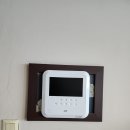 삼신비디오