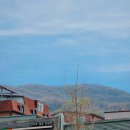 두향 | 맛집 ㅣ 분당 정자동 솥밥 맛집 두향 스테이크솥밥 후기