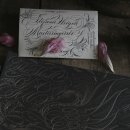 영문캘리모던서체 이미지