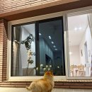 여차리399펜션 이미지