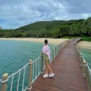 여리한 다이어트(청담점) | 여리한다이어트 청담점 내돈내산 방문후기 누워서 하는 다이어트 관리 에너지관리 효과