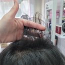 나비헤어 이미지