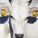 우리DC백화점 | 2026년 전기차 충전소 앱 추천 TOP 3: 실시간 급속·완속 현황 비교