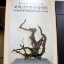 조록나무 뿌리 형상물 이미지