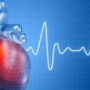 닥터캣 고양이병원 이미지