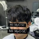 댕댕미미 이미지